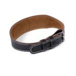 Custom Color Back Support Adjustable Gym Weightlifting Belt Heavy Duty Training Strength Waist Weightlifting Belt