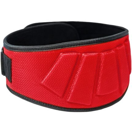 Nylon Gym Weight Lifting Belt Premium Weightlifting Belt for Serious Lifting