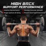 Wholesale Unisex Custom Made High Quality Powerlifting Belt High Quality Leather Fitness Gear with Buckle for Gym Use